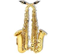 Saxofón Profesional Saxofón Alto Eb E Flat Sax Latón Saxofón Instrumento De Viento De Madera Con Estuche Guantes Piezas Y Accesorios De Cepillo