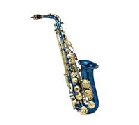 Saxofón Profesional Saxofón Alto Eb E-plano Grabado En Latón Instrumento De Viento Con Estuche Guantes Cepillo Para Cinturón De Tela