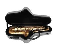 Saxofón Profesional Saxofón Alto Eb Latón Esmerilado Oro E Plano Alto Saxofón Instrumento De Viento De Madera Saxfon Con Estuche Accesorios De Soporte De Lengüetas(A1)