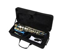 Saxofón Profesional Saxofón alto en mi bemol con botones de concha de abulón y latón grabado Tone Is Rich