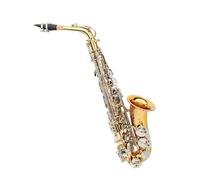 Saxofón Profesional Saxofón alto en mi bemol instrumento de viento metal profesional para adultos principiantes con parte de viento madera