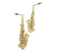 Saxofón Profesional Saxofón Alto Profesional De Latón Para Principiantes Instrumento Para Adultos Con Estuche De Transporte Accesorios