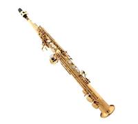 Saxofón Profesional Saxofón para principiantes: introducción al instrumento de interpretación profesional en si bemol y soprano