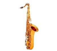 Saxofón Profesional Saxofón Profesional Para Principiantes Saxofón Tenor Saxofón De Latón Con Accesorios Para Instrumentos(B)
