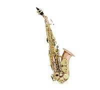 Saxofón Profesional Saxofón soprano en si bemol Tubo pequeño curvo Saxofón para principiantes y adultos Nivel de rendimiento de prueba