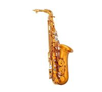Saxofón Profesional Teclas De Saxofón Alto Eb Para Principiantes Cuerpo De Latón Conjunto De Saxofón Alto Estuche Accesorio Profesional Para Saxofón Instrumentos De Viento De Madera(B)