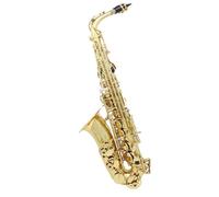 saxofón Saxofón alto en mi bemol instrumento de viento de madera profesional bañado en plata y latón saxofón en mi bemol(Golden Style 7)