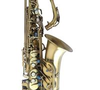 Saxofón Saxofón Alto Mi bemol antiguo refuerzo de doble costilla patrón tallado uno a uno instrumento de Jazz de latón Sax (Color : Cloth bag)