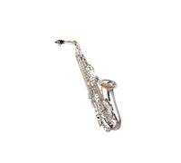 Saxofón Saxofón Alto Profesional Drop E Saxofón Alto Dorado Con Pieza De Banda Y Lengüeta(Silver)