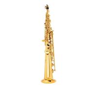 Saxofón Saxophone Oro Níquel Si Bemol Saxophone Recto Con Accesorios (Color : 01)