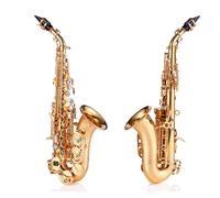 Saxofón Saxophone Pequeño Tubo Curvado En Si Bemol Universal Para Principiantes Y Profesionales Que Tocan Instrumentos (Color : Gold)