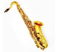 Saxofón Tenor/alto Golden Sax En Si Bemol (o Do) Modelo De Nivel De Entrada(Tenor)