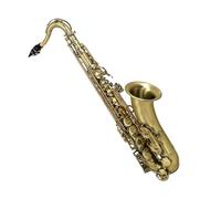 Saxofón tenor antiguo en si bemol instrumento de viento metal con estuche cepillo recortador de cuerdas y otros accesorios Saxofón Para Principiantes