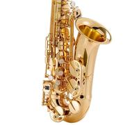 Saxofone Saxofón Alto BE Examen De Nivel Introducción Para Principiantes Nivel Interpretación Para Adultos(3/4)