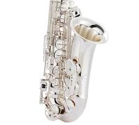 Saxofone Saxofón Alto BE Examen De Nivel Introducción Para Principiantes Nivel Interpretación Para Adultos(5)
