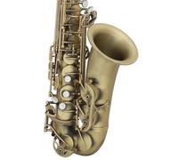 Saxofone Saxofón Alto BE Examen De Nivel Introducción Para Principiantes Nivel Interpretación Para Adultos(3)
