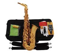 Saxofone Saxofón alto dorado en Mi bemol agudo