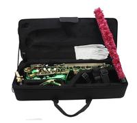 Saxofone Saxofón Alto En Mi Bemol Verde Grabado Con Caja De Distribución Instrumento Viento Madera