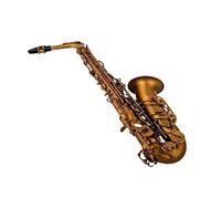 Saxofone Saxofón Alto Mi Instrumento Musical Con Estuche Todos Los Accesorios(3/4)