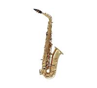 Saxofone Saxofón Alto Profesional Con Llave E Y Accesorios Completos