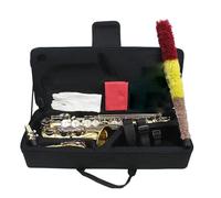 Saxofone Saxofón Alto Profesional En Mi Bemol Dorado Y Plateado Con Cuerpo De Latón Tallado Accesorios(2)