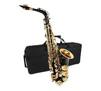 Saxofone Saxofón Alto Profesional En Mi Bemol Mayor Con Cuerpo De Latón Dorado Y Níquel Negro