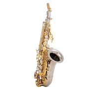 Saxofones Instrumento Profesional Para Práctica E Interpretación De Saxofón Alto Para Adultos.