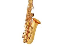 saxofones Instrumentos musicales Saxofón alto para principiantes en mi bemol