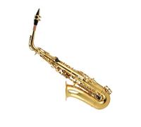 SaxofónSaxofón Para Adultos Saxofón Instrumento Dorado De Doble Costilla Alto En Mi Bemol Lacado Proceso Dorado