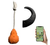 SAXVI Pets Cuerno de Búfalo + Juguete Tira y Afloja + Guía de Consejos QR