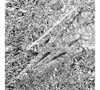 Say She She - Silver - Vinyle Rose Translucide [Vinilo]