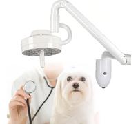 SAYEYBU LáMpara Led De Pared para ExáMenes MéDicos QuirúRgicos, LáMpara Auxiliar Sin Sombras De 30 W, para GinecologíA, CirugíA OtorrinolaringolóGica Y Veterinaria,Blanca