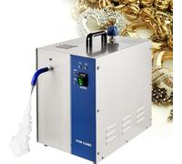 SAYEYBU Limpiador A Vapor para Joyas De Acero Inoxidable, MáQuina De Limpieza A Vapor para Joyas, Equipo De OrfebreríA para Uso DoméStico E Industrial,Plata