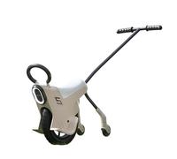 SAYEYBU Monociclo De Empuje Manual De 30 Cm para NiñOs, Monociclos Ligeros, con Luz, Pasamanos Y Ruedas Auxiliares, Monociclo para Padres E Hijos, Monociclos para NiñOs,01