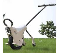 SAYEYBU Monociclo para Niños a Empujar, Monociclo Ligero con Luces, Manillas & Ruedas Auxiliares, Bicicleta Padre, Hijo para Pequeños,Caqui