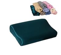 SAYTAK Funda de Almohada Satén 1 Uds Funda de Almohada de satén 30cm x 50cm/40cm x 60cm Color Puro cómoda Funda de Almohada de Espuma Satinada de imitación(5,30X50CM)