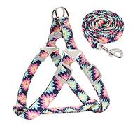 SBJKLYRN Arnés para Perros， Arnés de Nailon Ajustable con Correa for Perros, Chaleco Estampado for Cachorros, Entrenamiento for Caminar for pequeños y medianos, Color Rojo, Talla S(Pink,M)