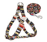 SBJKLYRN Arnés para Perros， Arnés de Nailon Ajustable con Correa for Perros, Chaleco Estampado for Cachorros, Entrenamiento for Caminar for pequeños y medianos, Color Rojo, Talla S(Red,M)