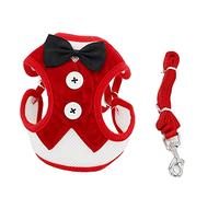 SBJKLYRN Arnés para Perros， Conjunto de Correa, arnés y for Cachorros Gatos, Color Rojo, Chaleco con for Mascotas, for Perros pequeños, Conejos, Vestido, Lazo, cinturón Pecho, Collar S(M)
