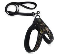 SBJKLYRN Arnés para Perros， Conjunto de Correas Reflectantes for Perros, arnés y Correa for Entrenamiento Paseo, Chaleco for Cachorros, Grandes, for Mascotas ES(B,M)