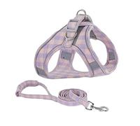 SBJKLYRN Arnés para Perros， Y Correa Violeta Chaleco Ajustable Cachorro Gato Collares Pasear Conjunto Arneses Collar for Perros Pequeños M(XL)