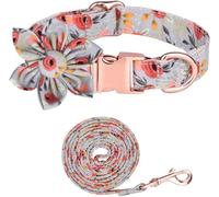 SBJKLYRN Collar para Perro, 3 Collares for Perros con Linda Correa, Modernos for Cachorros Hebilla de Metal Ajustable for pequeños, medianos y Grandes, niños niñas(Green Set,S)