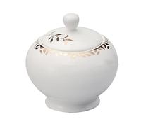 SBZIOJHDR Tarros de cerámica para especias. Azúcar de cerámica con tapa, azucarero con flores trazadas a mano, salero, caja de condimentos, recipientes for especias, almacenamiento de azúcar, lata