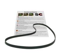 SC Solocorreas - Correa lavadora comptible (6EPJ 1236 / 4PJE 1236 / EPJ 1236/1236 PJE / 5EPJ 1236/1236 J / 1236 J MAEL)