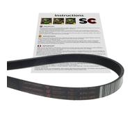 SC Solocorreas - Correa secadora 8PH 1965 (L461971026301)