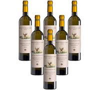 Scalandrino Vermentino Maremma Toscana DOC Fattoria Mantellassi (6 botellas 75 cl.)