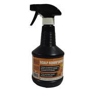 SCALP - PULVERIZADOR LIMPIADOR RENOV EXPRESS 500 ML