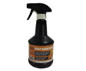 SCALP - PULVERIZADOR LIMPIADOR RENOV EXPRESS 500 ML