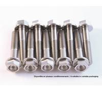 SCAR Kit tornillo de titanio M6x14 por 6