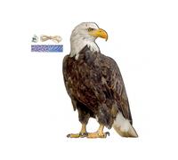 Scarecrow Owl Bait Bird Repellent, Outdoor Pigeon Scarer with Bell, Durable Hanging Decoration for Balcony, E5 US